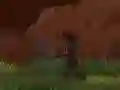 Mäng Faasi Ninja Internetis