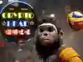MĂ€ng KrĂŒpto Pea Pall Internetis MĂ€ng KrĂŒpto Pea Pall Internetis