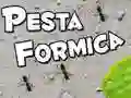 Mäng Sääskede Pidustus Internetis Mäng Sääskede Pidustus Internetis