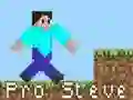 MĂ€ng Pro Steve Internetis MĂ€ng Pro Steve Internetis