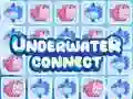 Mäng Allveeline Ühendus Internetis Mäng Allveeline Ühendus Internetis