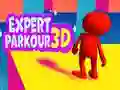 Mäng Ekspert Parkour 3D Internetis