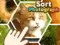 MĂ€ng Klassifitseeri fotosid Internetis MĂ€ng Klassifitseeri fotosid Internetis