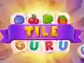Mäng Plaadi Guru Internetis