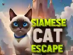 MÀng Siamese kassi pÔgenemine Internetis MÀng Siamese kassi pÔgenemine Internetis