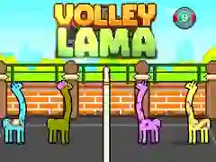MĂ€ng Volley Lama Internetis MĂ€ng Volley Lama Internetis