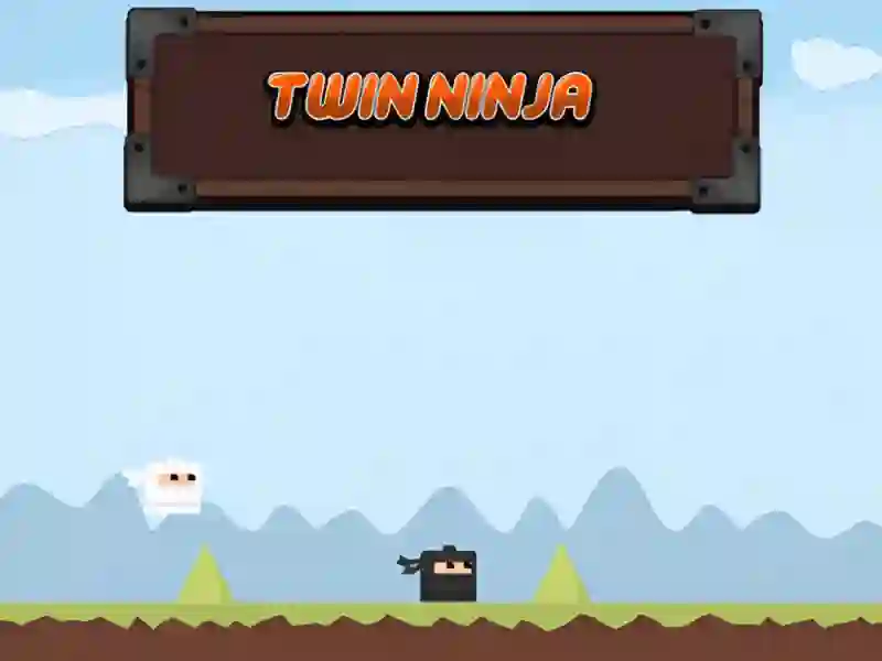 Mäng Twin Ninja Internetis