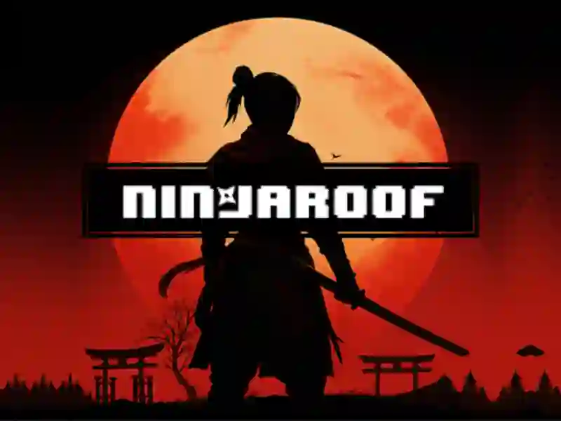 Mäng Ninja katus Internetis