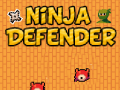 Mäng Ninja Kaitsja Internetis
