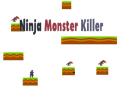 Mäng Ninja Koletar Killer Internetis
