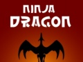 Mäng Ninja Draakon Internetis
