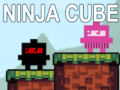Mäng Ninja Kuub Internetis
