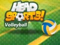 Mäng Head Sports Võrkpall Internetis
