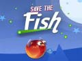 Mäng Save The Fish Internetis