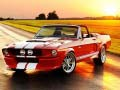 Mäng Elegants Mustang Erinevused Internetis