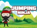 Mäng Hüppav Ninja Internetis