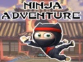 Mäng Ninja Seiklus Internetis