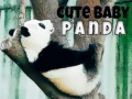 Mäng Armas beebi panda Internetis