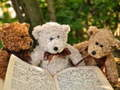 Mäng Kallistus Kolm Teddy Pusle Internetis