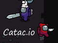 Mäng Catac.io Internetis
