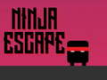 Mäng Ninja põgenemine Internetis