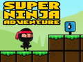 Mäng Super Seiklus Ninja Internetis