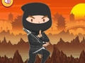 Mäng Koolitatud Ninja Pusle Internetis