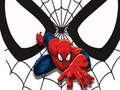 Mäng Spidermani Mängukaardid Internetis