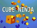 Mäng Kuup Ninja Internetis
