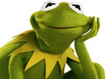 Mäng Värviraamat Kermit Konnale Internetis