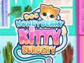 Mäng Doktor HoneyBerry Kassioperatsioon Internetis