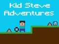 Mäng Kid Steve Seiklused Internetis