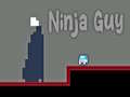 Mäng Ninja Poiss Internetis