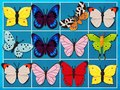 Mäng Mahjongi Kuningas Internetis
