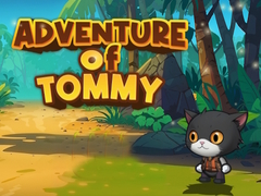 Mäng Tommy Seiklus Internetis