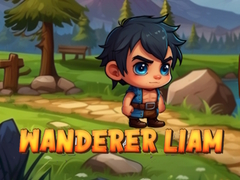 Mäng Rändur Liam Internetis